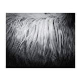 hair (Print Only) thumbnail