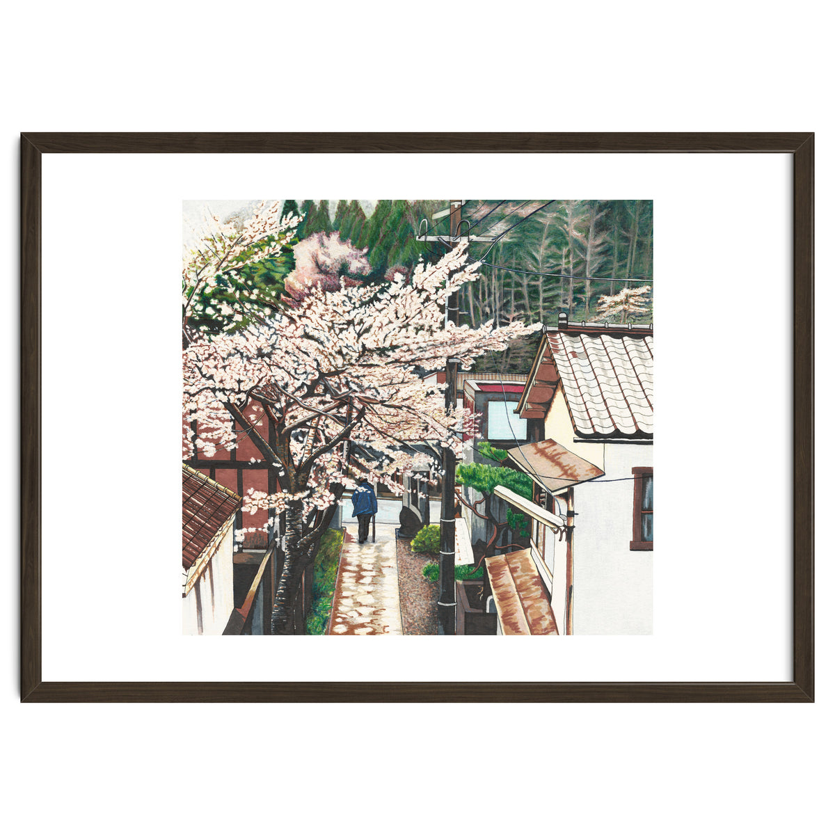 Passing by Cherry Blossoms