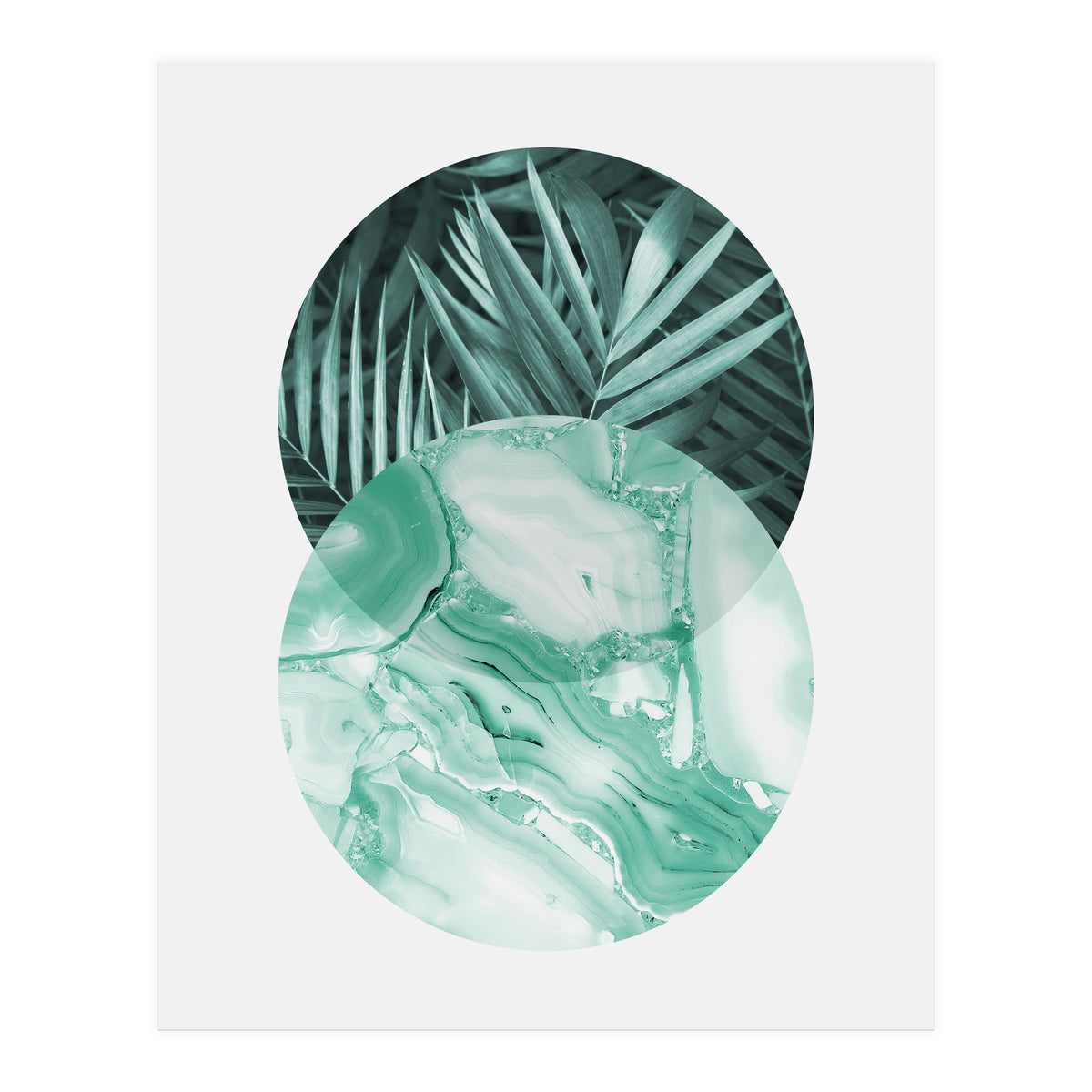 Botanical and geometric IV (Print Only)