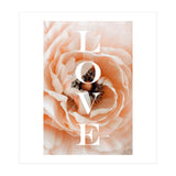 Love (Print Only) thumbnail