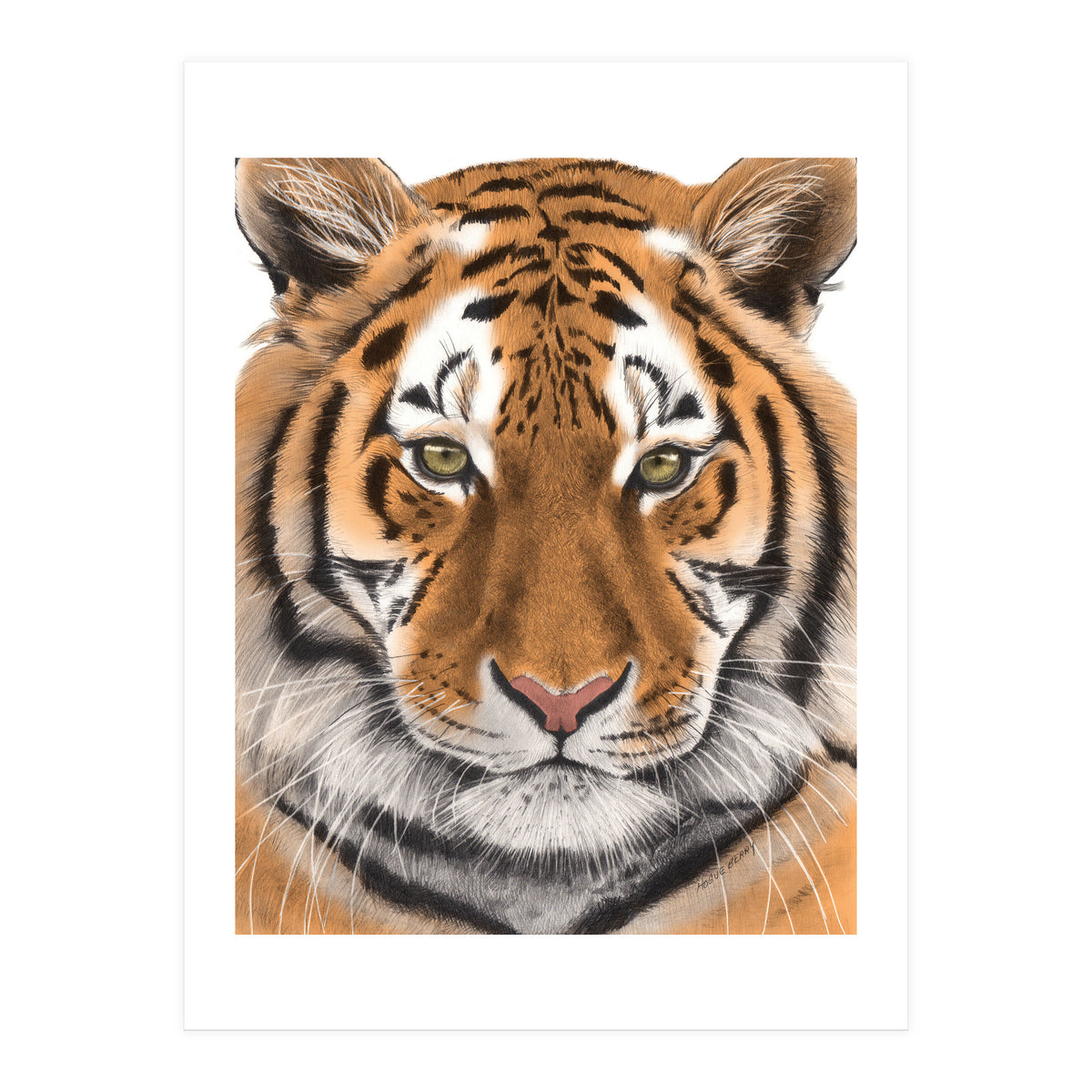 Tiger (Print Only)
