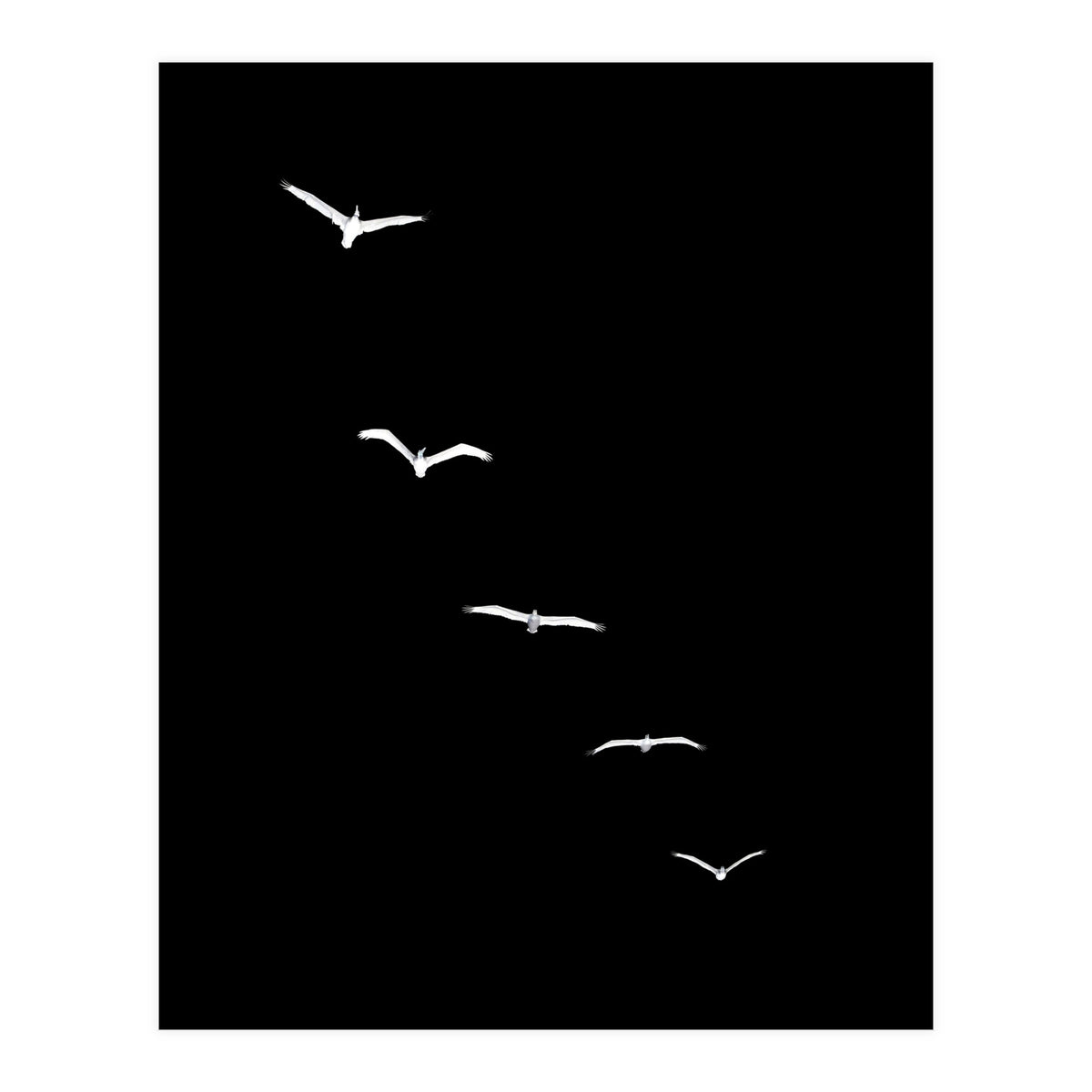 Heavenly Creatures Dark (Print Only)