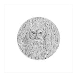 In Plain Sight (Print Only) thumbnail