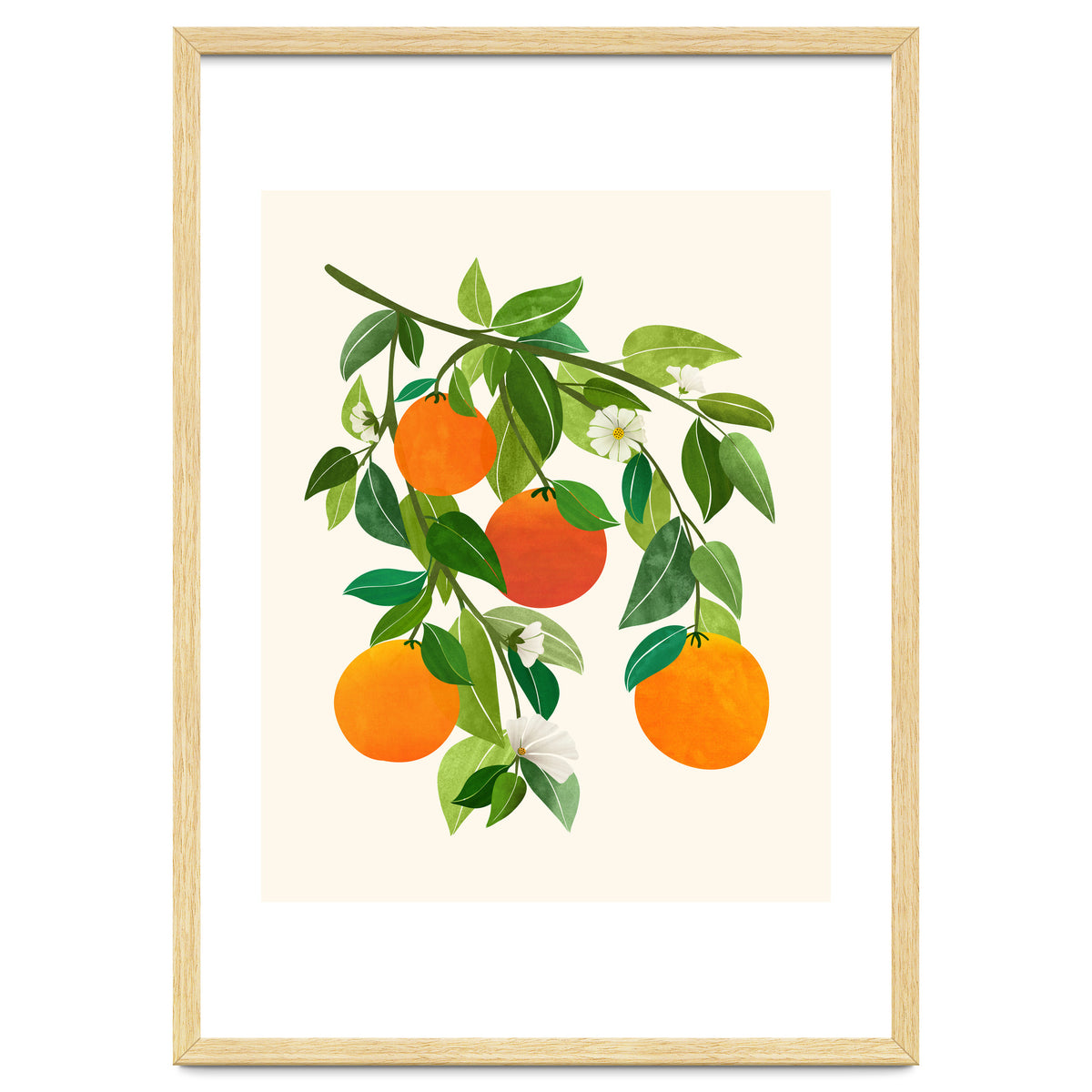 Oranges and Blossoms II