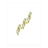 Golden Hearts (Print Only) thumbnail