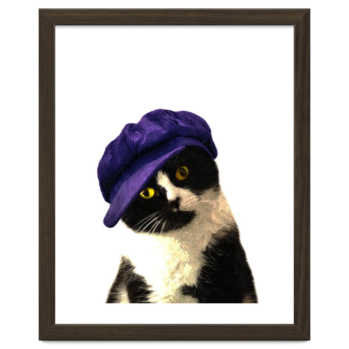 Cat Blue Hat