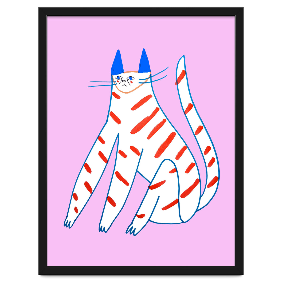 Stripey Cat