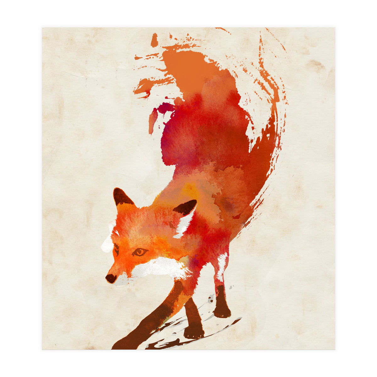Vulpes Vulpes (Print Only)