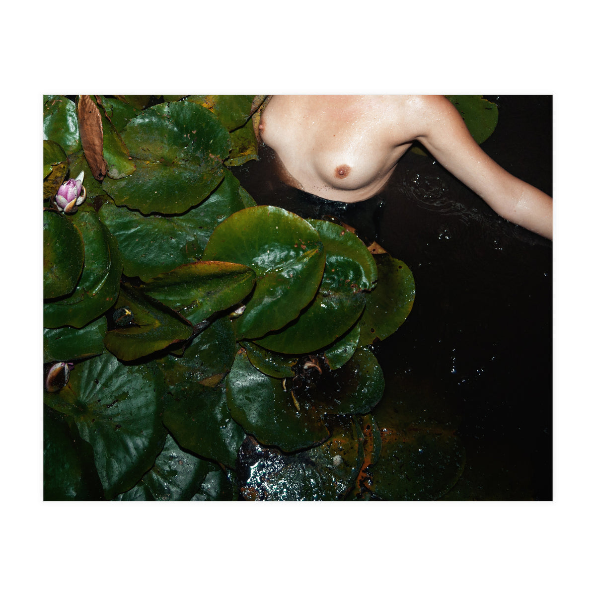 This is Not what You think It is (Print Only)