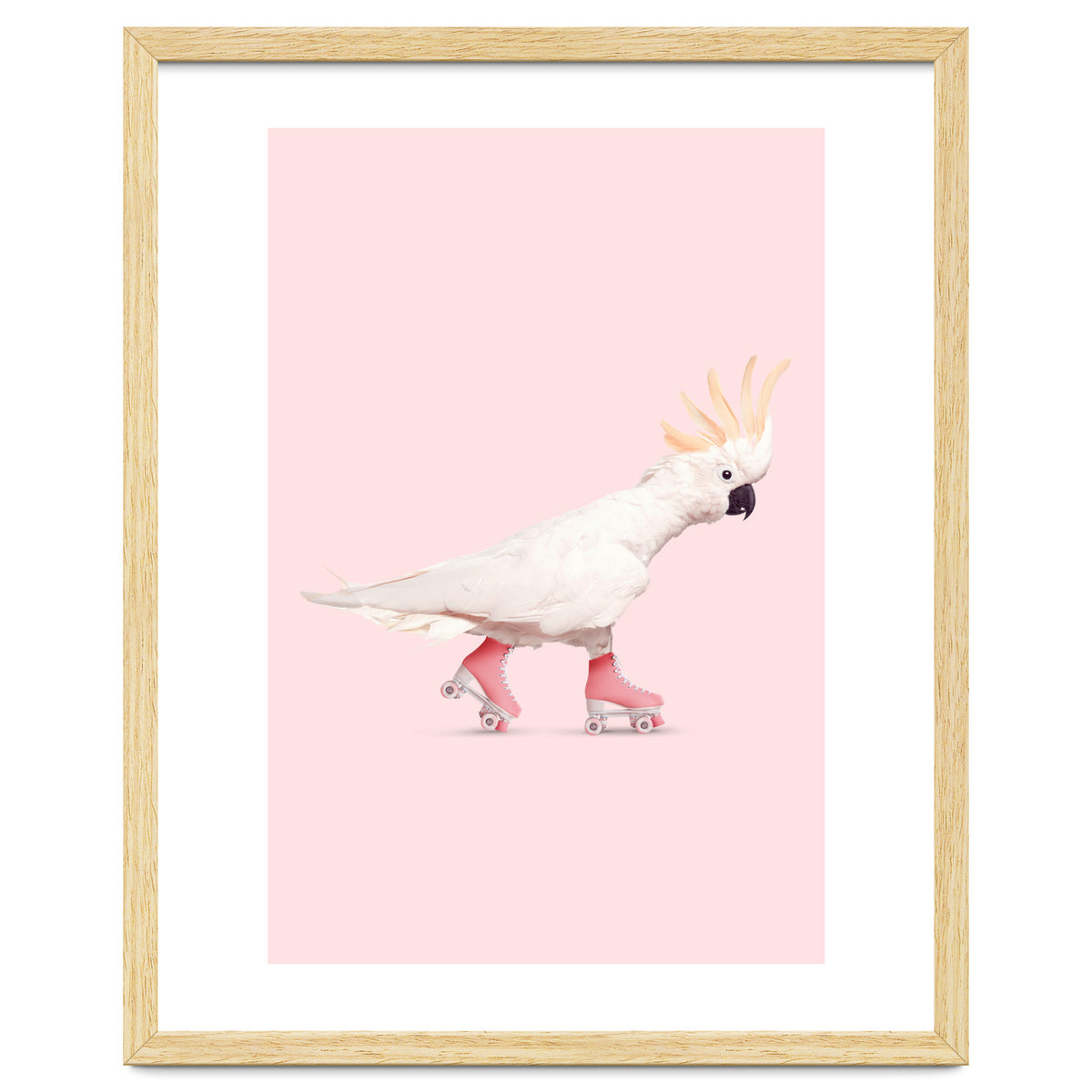 Rollerskating Cockatoo