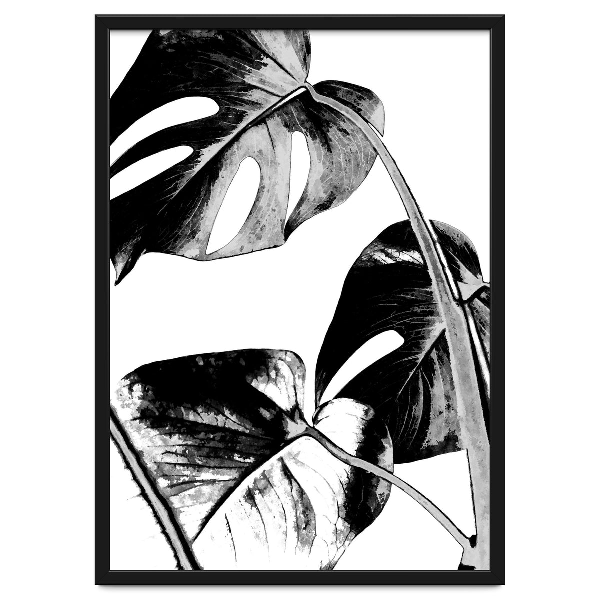 Black Tropical Leaves