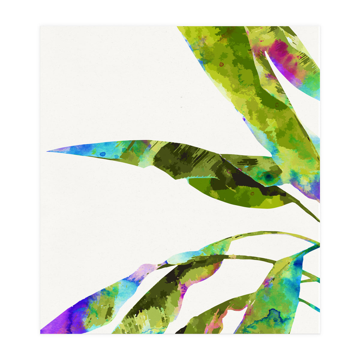 Banana Leaves Holi (Print Only)
