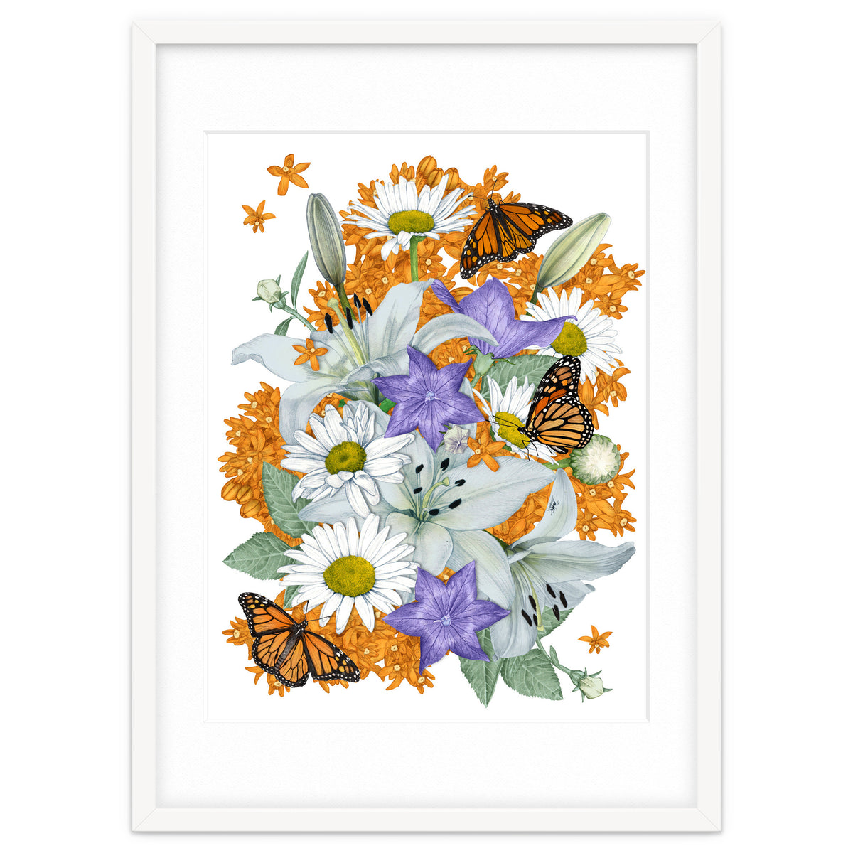 Lillies and Monarchs