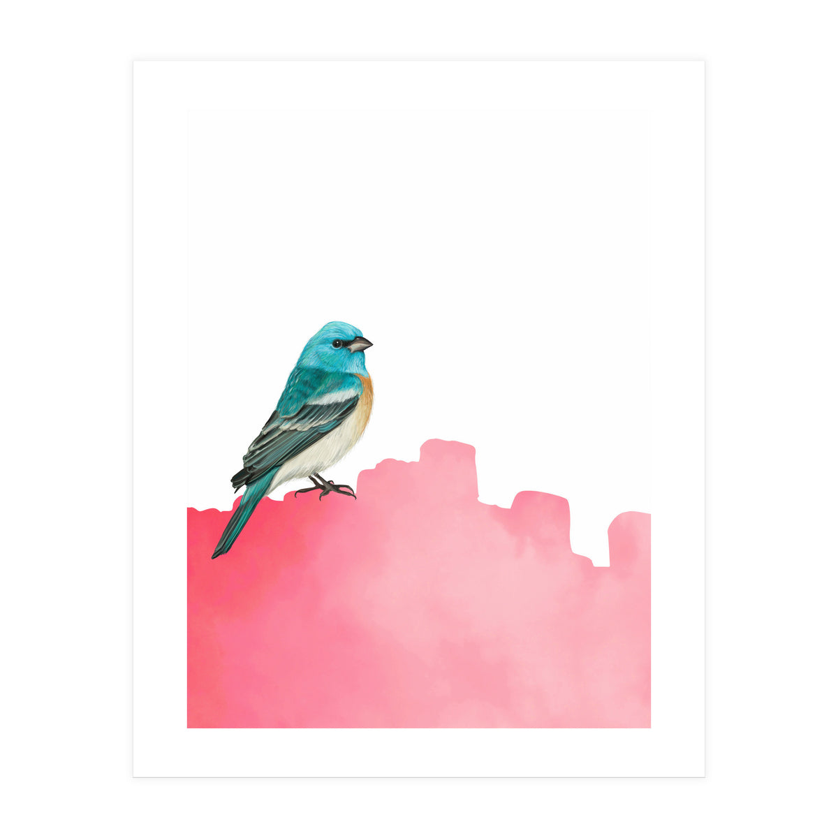 Bird Pink (Print Only)