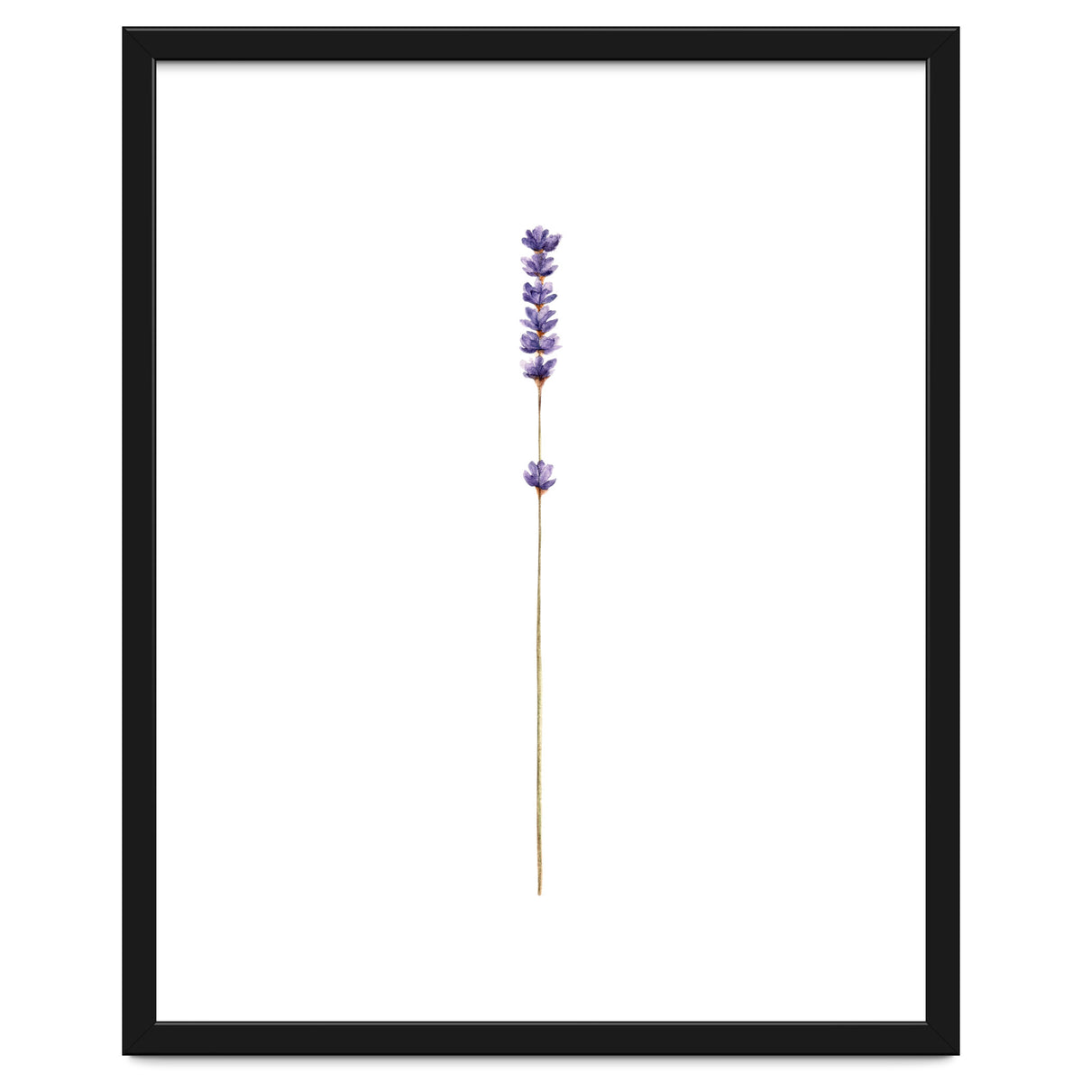 Lavender twig