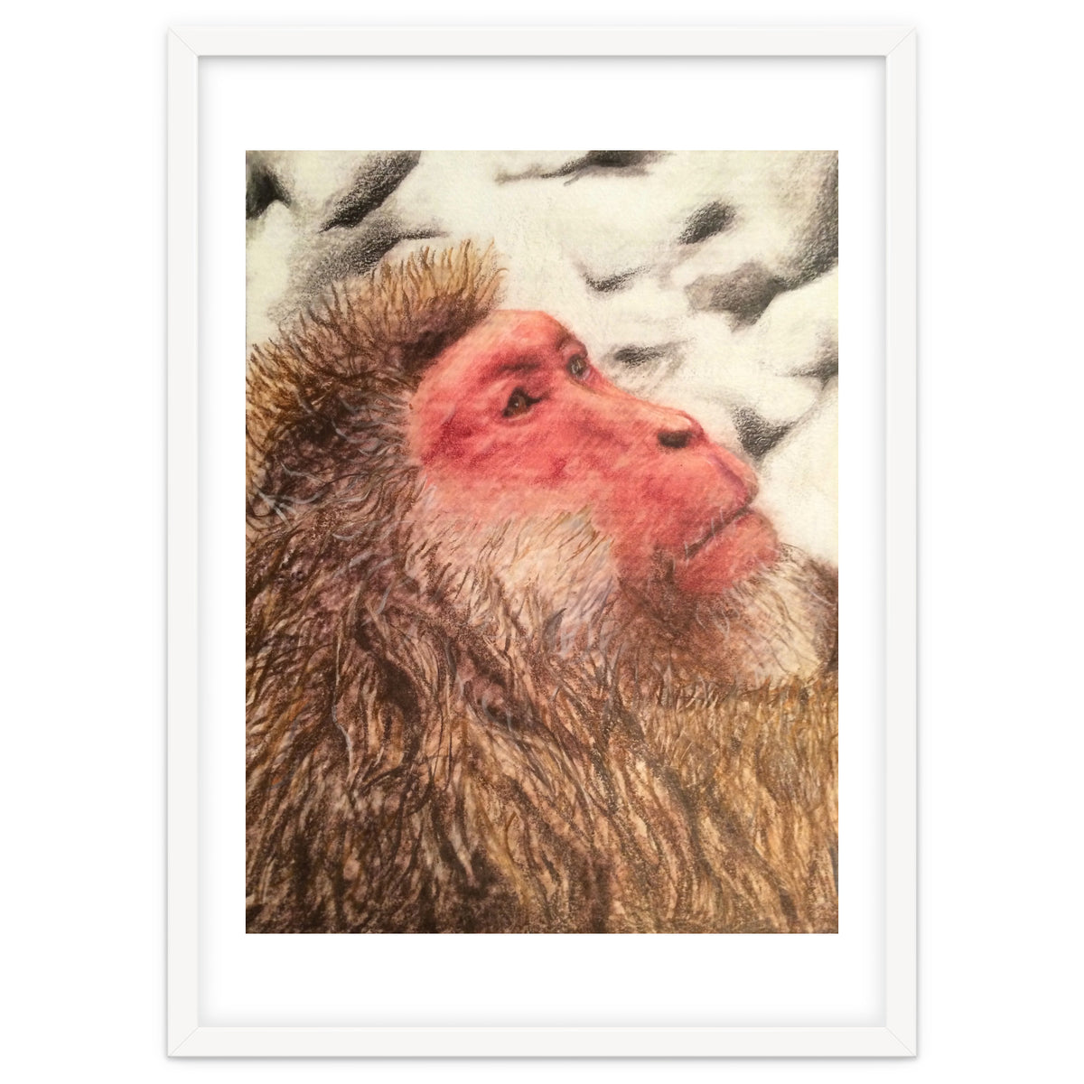 Japanese Macaque At The Onsen