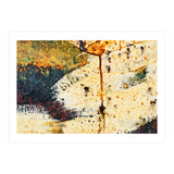 Zara (Print Only) thumbnail