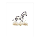 Zebra  (Print Only) thumbnail