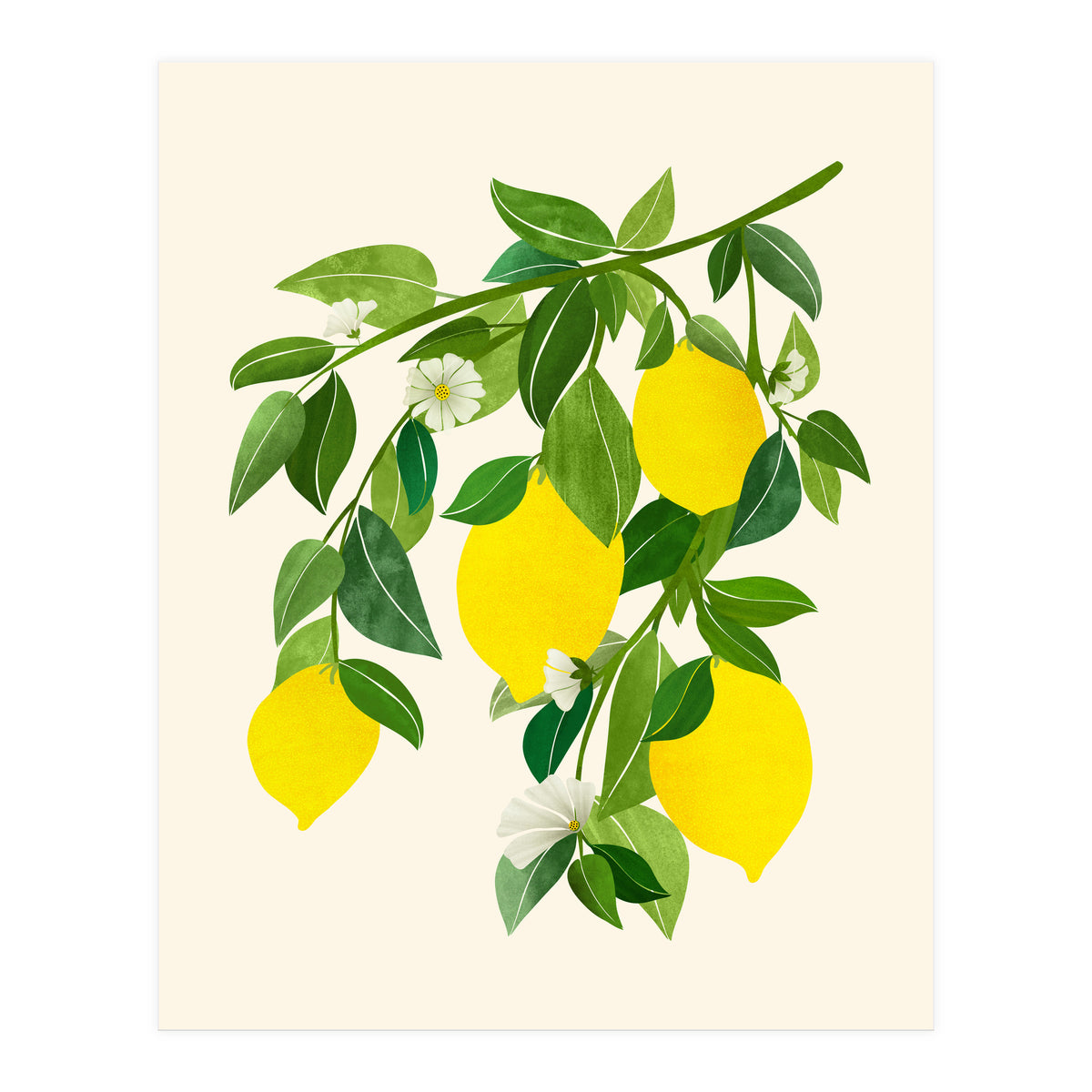 Sunny Lemons (Print Only)