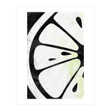 Citrus Collection No5 (Print Only) thumbnail