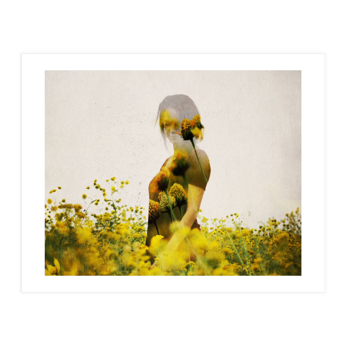 Yellow Meadow (Print Only)