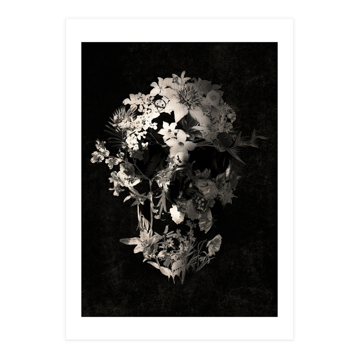 Spring Skull  (Print Only)