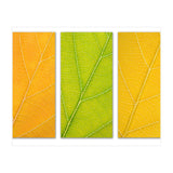 Autumn Leaves (Print Only) thumbnail