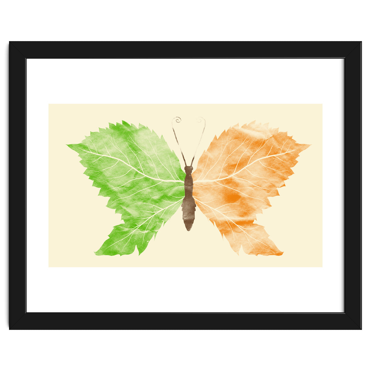 Seasons Change Time Flies