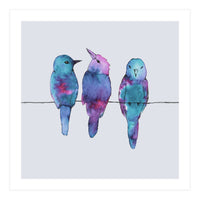 Three birds on a wire	 (Print Only)