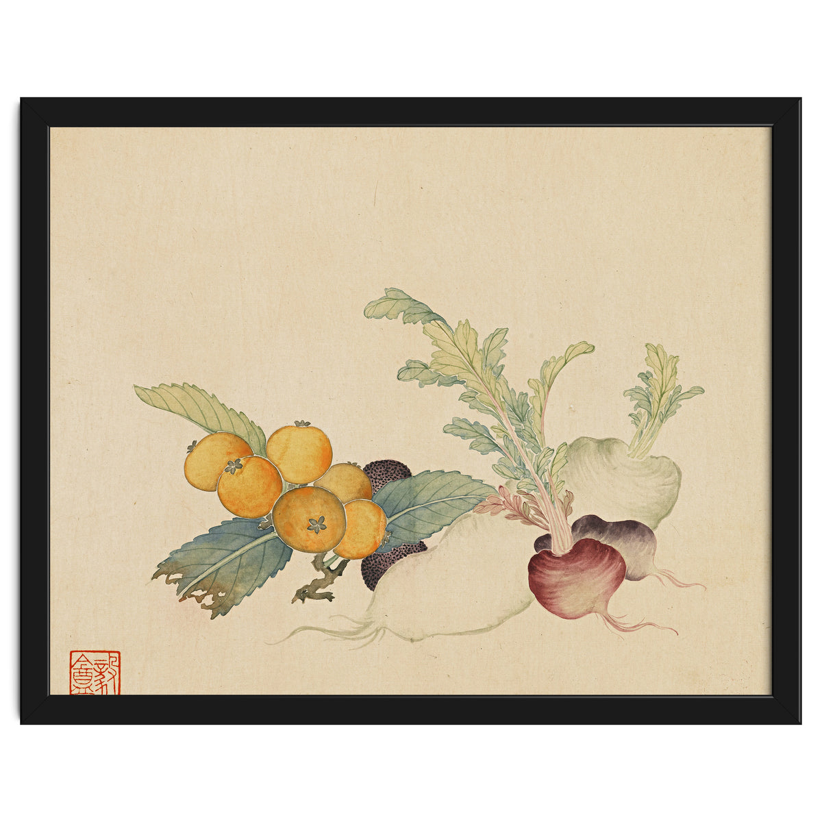 Wang Chengpi~flowers And Vegetables, Vegetables, Fruits, Loquat, White Radish, Carrot, Radish