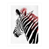 Zebra (Print Only) thumbnail