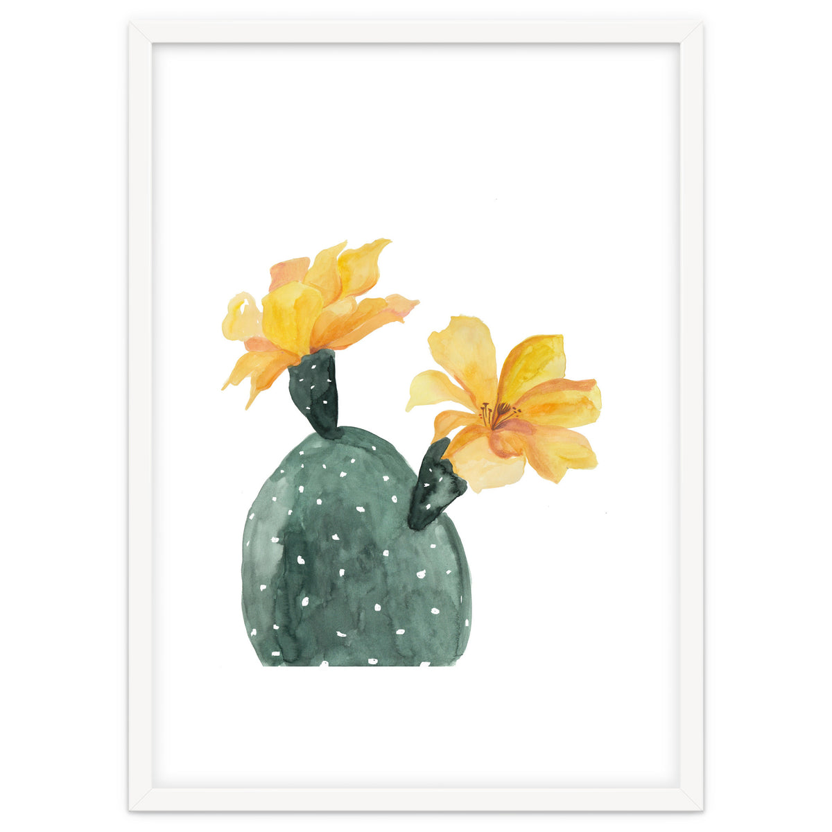Botanical Illustration Yellow Cactus Flowers