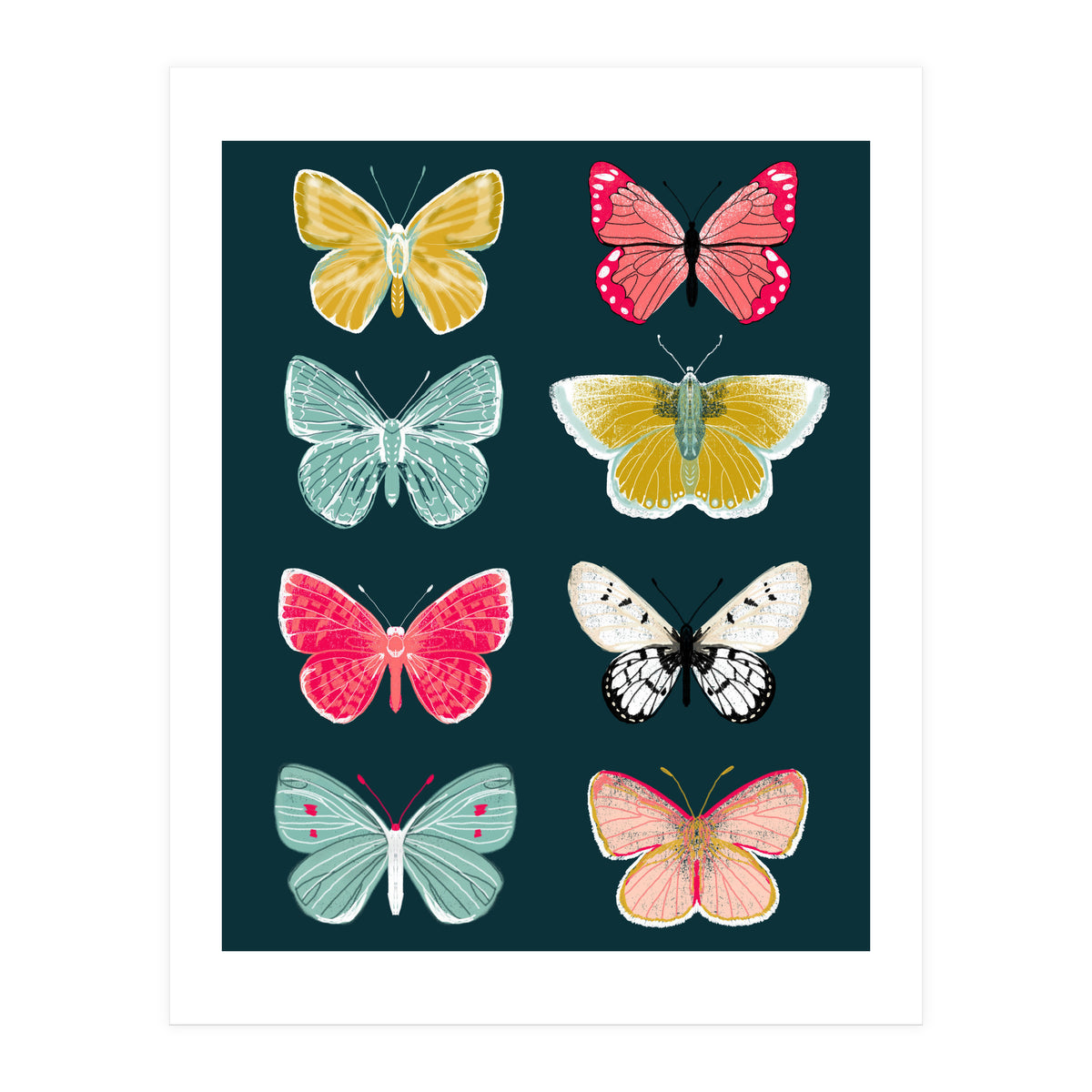 Lepidoptery Study No. 2 (Print Only)