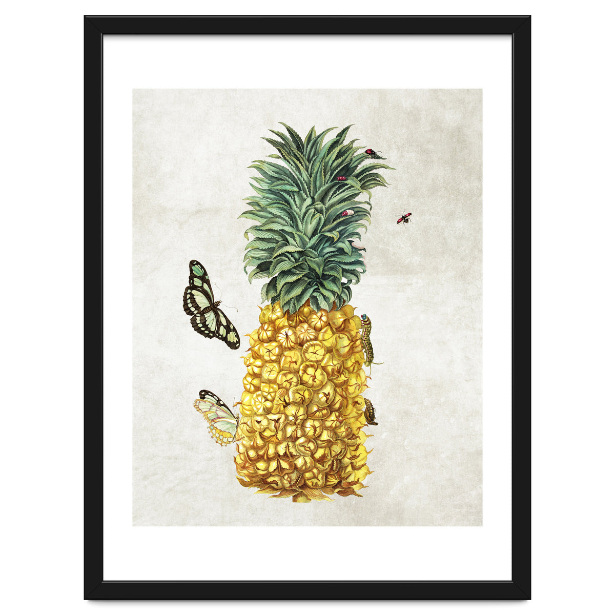 ananas
