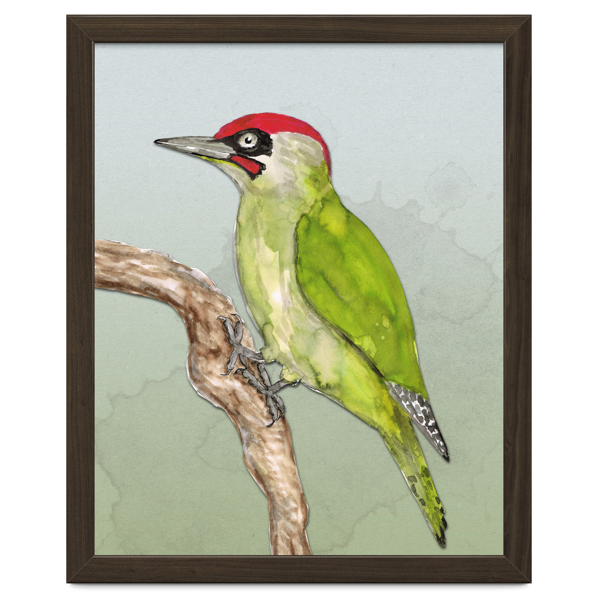 Green woodpecker
