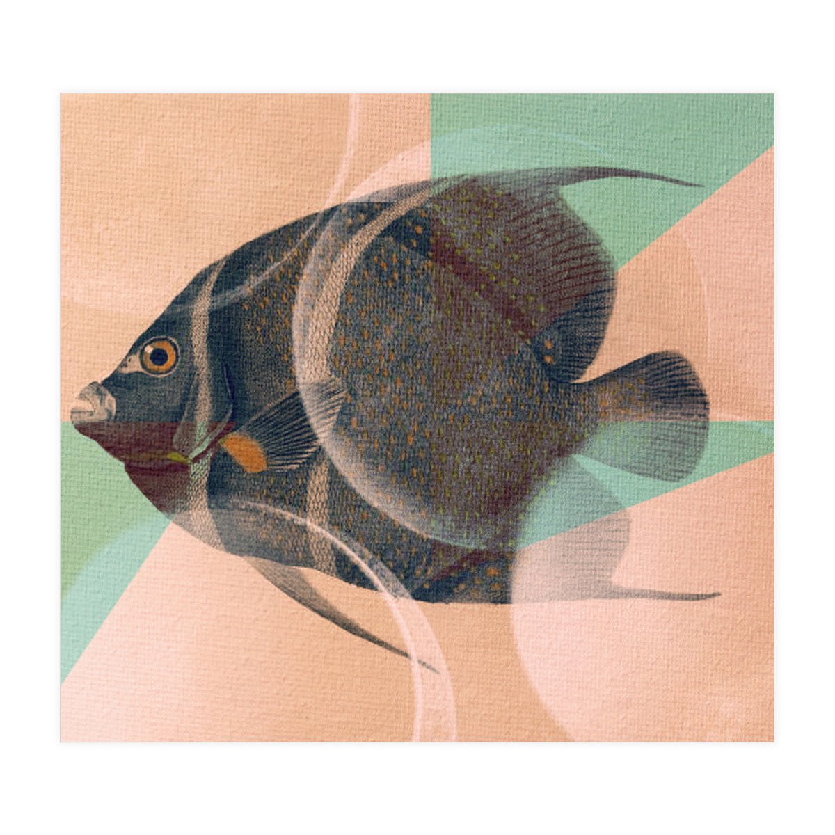 Fish Between Circles 2 (Print Only)