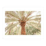 Tropical Palm Tree (Print Only) thumbnail