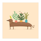 Dachshund And Parrot (Print Only) thumbnail