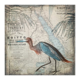 Egypt Heron (Print Only) thumbnail