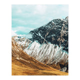 Carter (Print Only) thumbnail