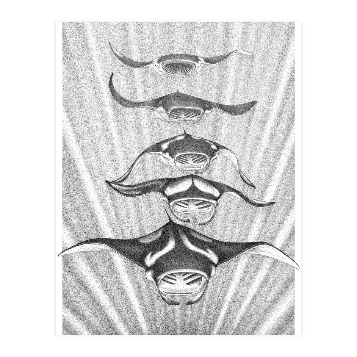 Manta Train (Print Only)