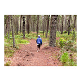 Into the forest (Print Only) thumbnail