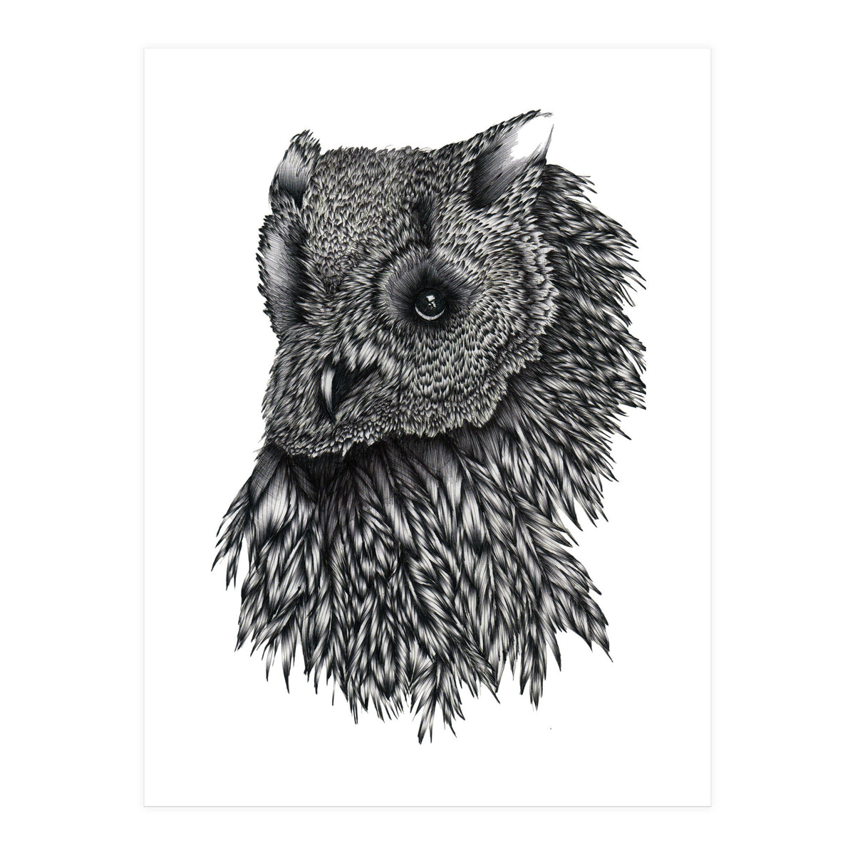 Forsythe (Print Only)