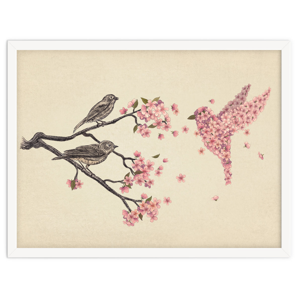 Blossom Bird