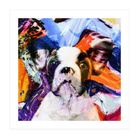 Zycko Color Dog 1 (Print Only)