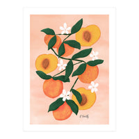 Summer Peaches (Print Only)