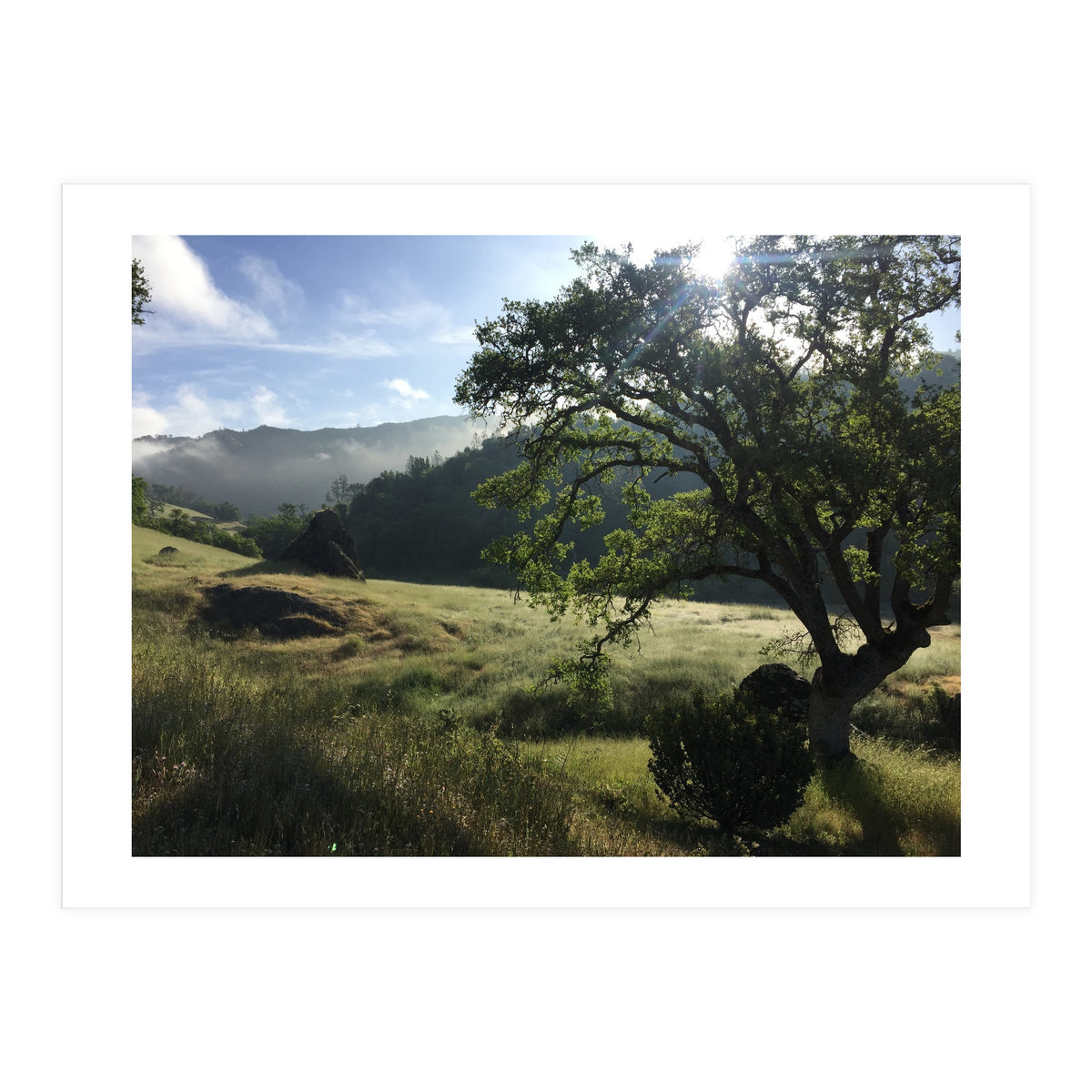 Henry Coe I (Print Only)