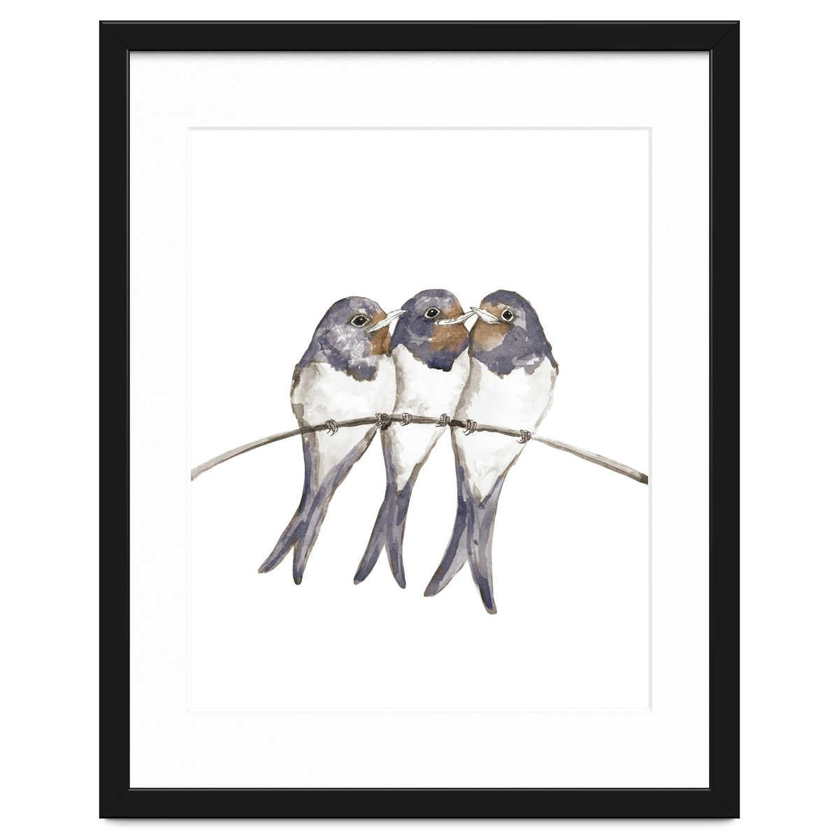 Three young swallows