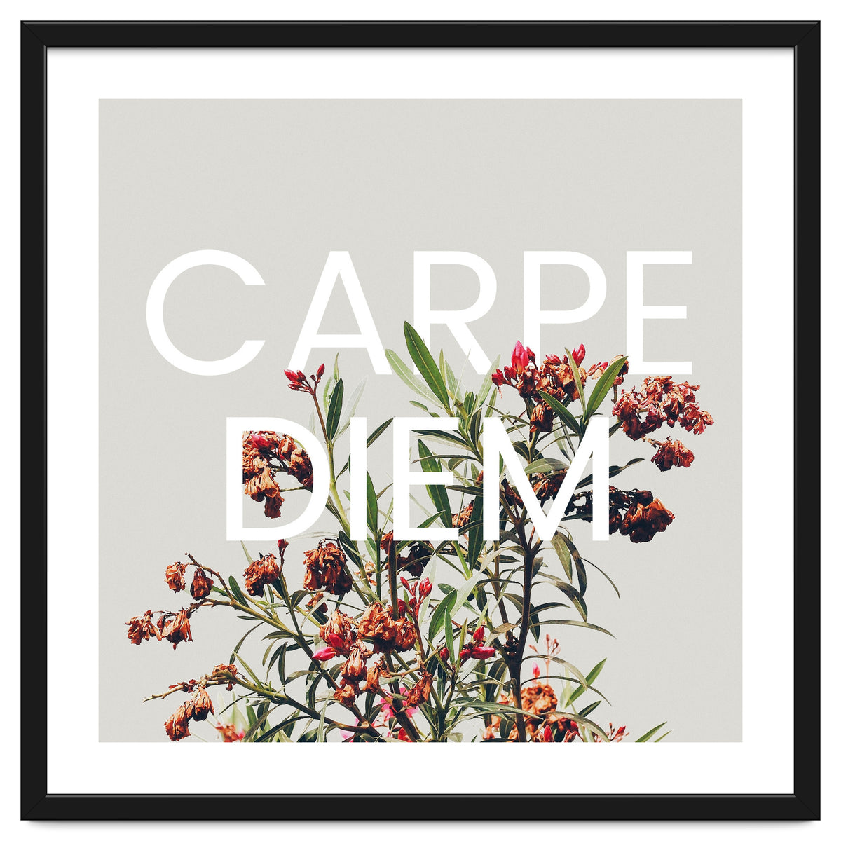 Carpe Diem