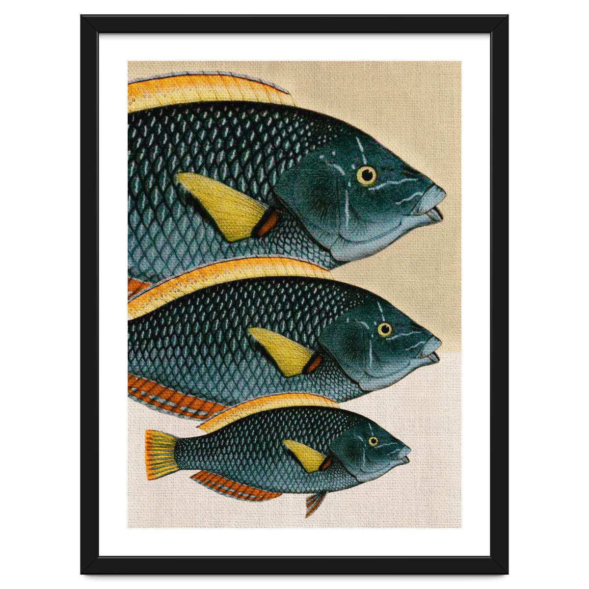 Fish Classic Designs 10